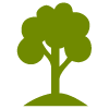 picto arbre